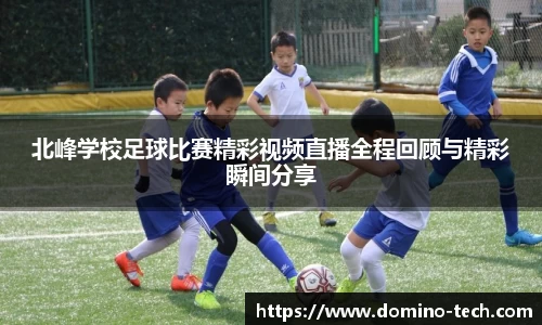 极悦娱乐官网
